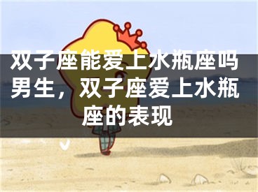 双子座能爱上水瓶座吗男生，双子座爱上水瓶座的表现