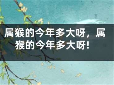 属猴的今年多大呀，属猴的今年多大呀!