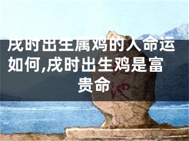 戌时出生属鸡的人命运如何,戌时出生鸡是富贵命
