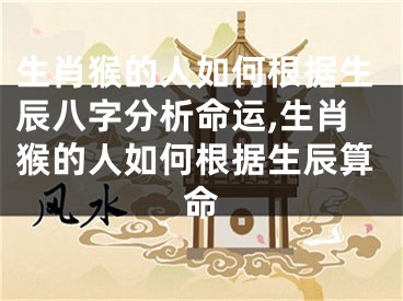 生肖猴的人如何根据生辰八字分析命运,生肖猴的人如何根据生辰算命