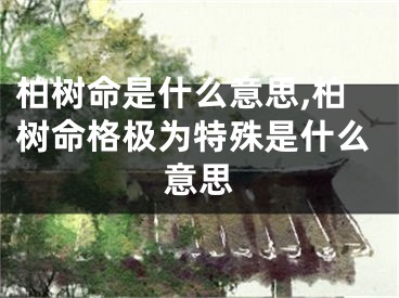 柏树命是什么意思,柏树命格极为特殊是什么意思