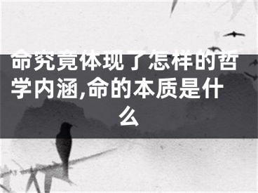 命究竟体现了怎样的哲学内涵,命的本质是什么