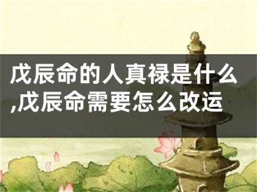 戊辰命的人真禄是什么,戊辰命需要怎么改运