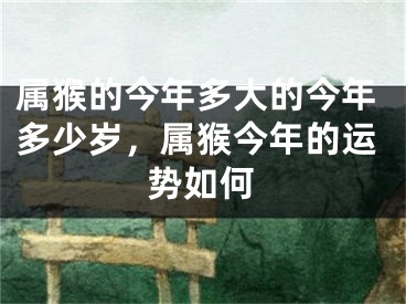 属猴的今年多大的今年多少岁，属猴今年的运势如何