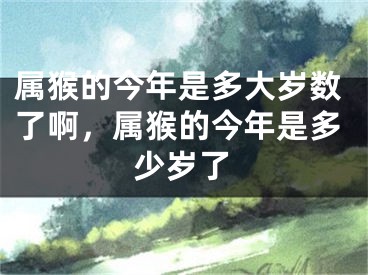 属猴的今年是多大岁数了啊，属猴的今年是多少岁了