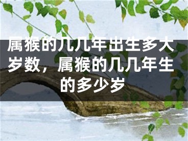 属猴的几几年出生多大岁数，属猴的几几年生的多少岁