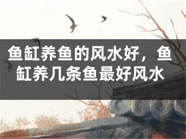 鱼缸养鱼的风水好，鱼缸养几条鱼最好风水
