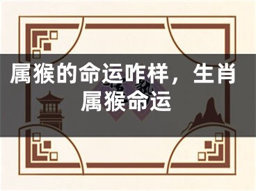 属猴的命运咋样，生肖属猴命运
