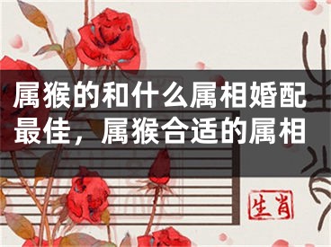 属猴的和什么属相婚配最佳，属猴合适的属相