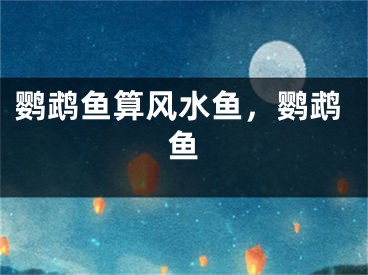 鹦鹉鱼算风水鱼，鹦鹉鱼
