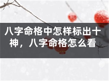 八字命格中怎样标出十神，八字命格怎么看