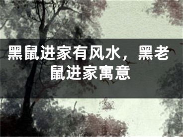 黑鼠进家有风水，黑老鼠进家寓意
