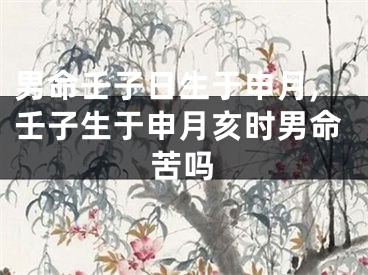 男命壬子日生于申月,壬子生于申月亥时男命苦吗