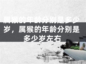 属猴的年龄分别是多少岁，属猴的年龄分别是多少岁左右