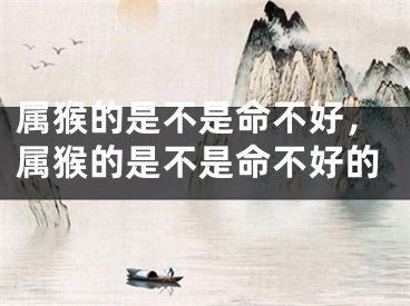 属猴的是不是命不好，属猴的是不是命不好的