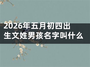 2026年五月初四出生文姓男孩名字叫什么