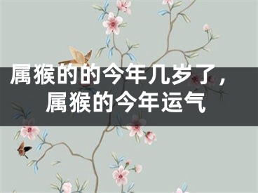 属猴的的今年几岁了，属猴的今年运气