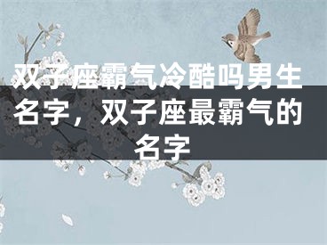 双子座霸气冷酷吗男生名字，双子座最霸气的名字