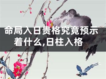命局入日贵格究竟预示着什么,日柱入格