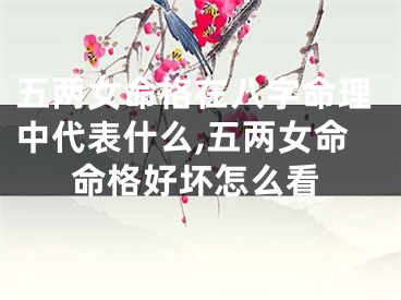 五两女命格在八字命理中代表什么,五两女命命格好坏怎么看