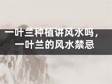 一叶兰种植讲风水吗，一叶兰的风水禁忌