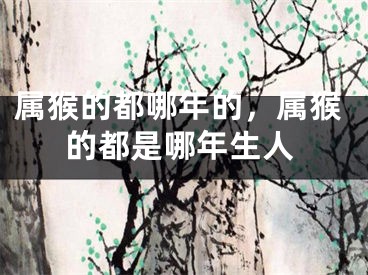 属猴的都哪年的，属猴的都是哪年生人