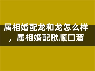 属相婚配龙和龙怎么样，属相婚配歌顺口溜