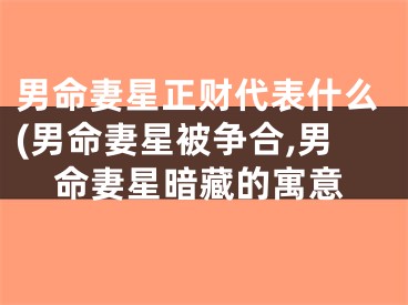 男命妻星正财代表什么(男命妻星被争合,男命妻星暗藏的寓意
