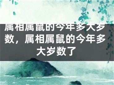 属相属鼠的今年多大岁数，属相属鼠的今年多大岁数了