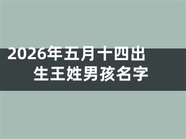 2026年五月十四出生王姓男孩名字