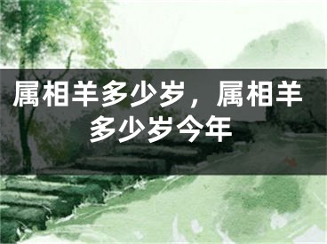 属相羊多少岁，属相羊多少岁今年