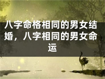 八字命格相同的男女结婚，八字相同的男女命运