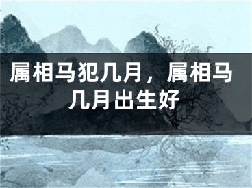 属相马犯几月，属相马几月出生好