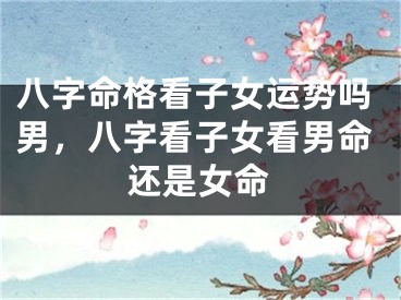 八字命格看子女运势吗男，八字看子女看男命还是女命
