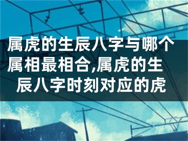 属虎的生辰八字与哪个属相最相合,属虎的生辰八字时刻对应的虎
