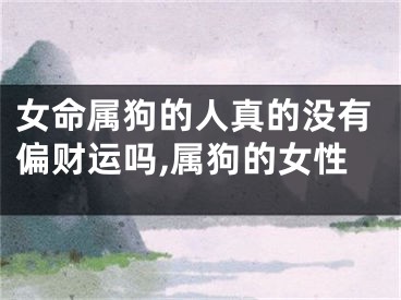 女命属狗的人真的没有偏财运吗,属狗的女性