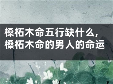 槡柘木命五行缺什么,槡柘木命的男人的命运