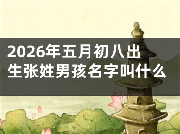 2026年五月初八出生张姓男孩名字叫什么