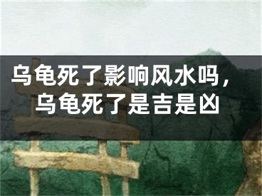 乌龟死了影响风水吗,乌龟死了是吉是凶