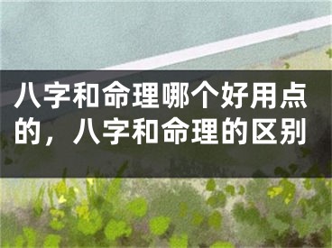 八字和命理哪个好用点的，八字和命理的区别