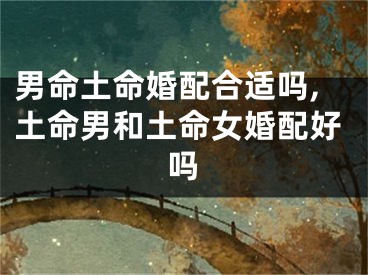 男命土命婚配合适吗,土命男和土命女婚配好吗