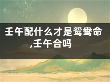 壬午配什么才是鸳鸯命,壬午合吗