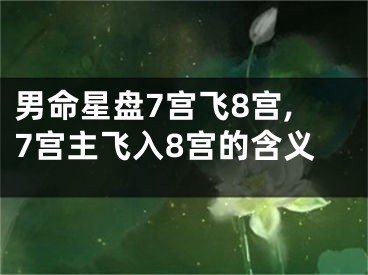 男命星盘7宫飞8宫,7宫主飞入8宫的含义