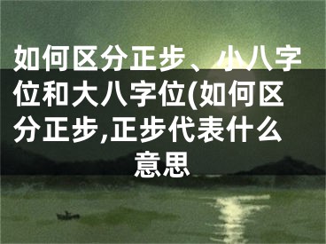 如何区分正步、小八字位和大八字位(如何区分正步,正步代表什么意思