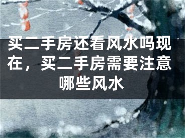 买二手房还看风水吗现在,买二手房需要注意哪些风水