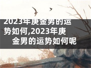2023年庚金男的运势如何,2023年庚金男的运势如何呢