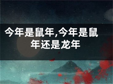今年是鼠年,今年是鼠年还是龙年