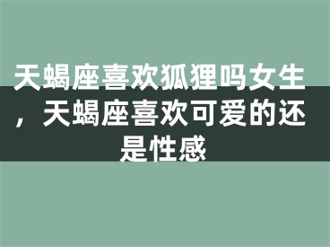 天蝎座喜欢狐狸吗女生，天蝎座喜欢可爱的还是性感