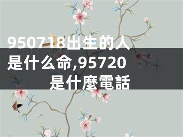 950718出生的人是什么命,95720是什麼電話