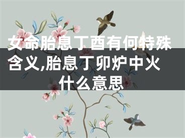 女命胎息丁酉有何特殊含义,胎息丁卯炉中火什么意思